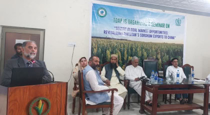Tdap Organizes Seminar To Explore Opportunities To Enter Chinese Sorghum Exports