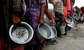 Zero Hunger In Pakistan A Chemistry Students Vision For Sustainable Solutions