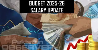 Budget 2025 26 10 Salary Increment Approved For Govt Employees