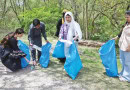Clean Up Drive Held At Trail 5 To Mark World Environment Day