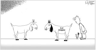 Daily Cartoon 03 06 2025