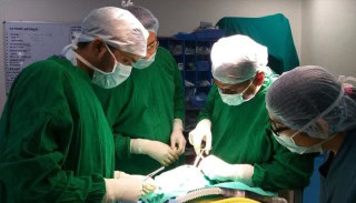 Man Donates Liver To Wife For Pakistans First Transplant For Colorectal Cancer Spread