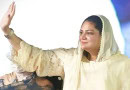 Pml Ns Hina Arsha Wins Pp 52 Sialkot By Election