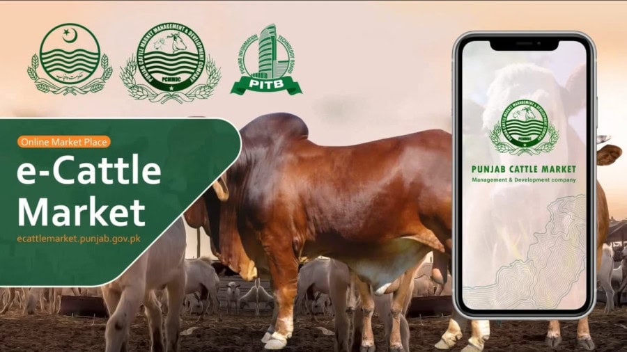 Punjab Launches E Cattle Market App Web Portal