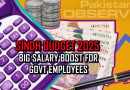 Sindh Budget 2025 Salary Pensions And Adhoc Relief Update For Govt Employees
