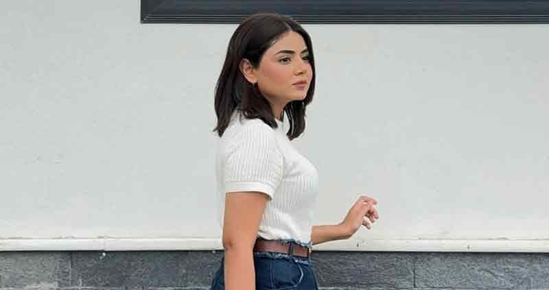 Tiktokers Leak Their Own Explicit Videos For Fame Areeka Haq On Viral Video Scandals