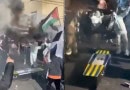 All Boys Fans Protest For Palestine At Argentine Football Match