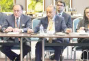 Aurangzeb Advances Strategic Partnerships During Meetings On Sidelines Of Ffd4