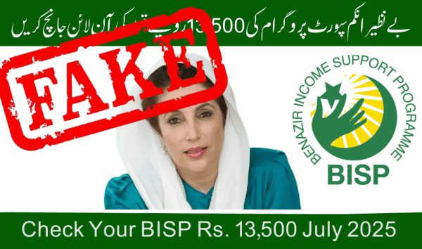 Fake Alert These 8171 Portals Are Not From Bisp Or Ehsaas