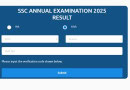 Matric Results 2025 Announced How To Check Marks Online