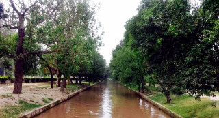 Nespak Completes Geo Tagging Of Trees Along Lahore Canal