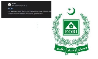 Paki National Pension Body Site Compromised As Eobi Pakistan Linked To Porn In Search
