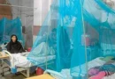 Pakistan Unveils Results Of First G6pd Pilot Project To Combat Malaria