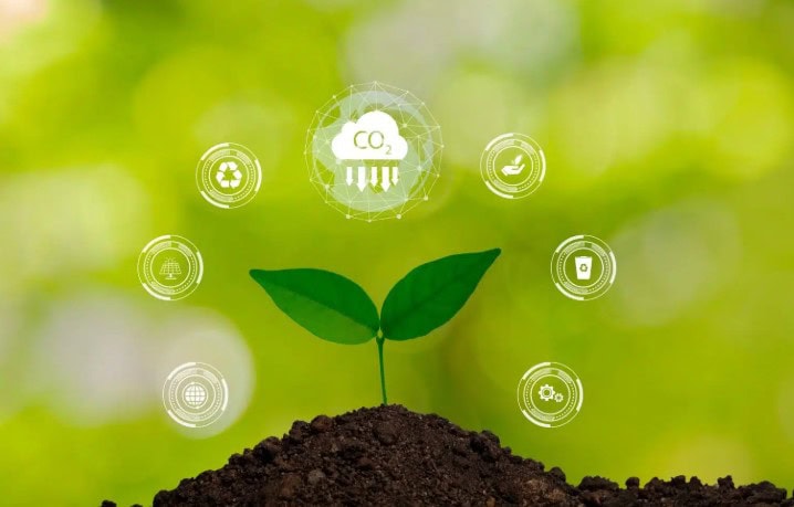 Pakistani Startup Ful Foods Selected By United Nations For Global Innovation Award
