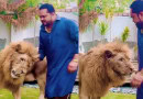 Punjab Cracks Down On Illegal Lion Owners As Pet Lion Mauls Locals In Lahore