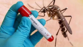 Punjab Sets New Rates For Dengue Tests In Private Labs