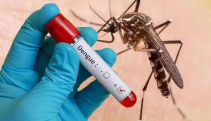 Punjab Sets New Rates For Dengue Tests In Private Labs