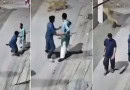 Rs5lac Compensation Announced For Lion Attack Victims Amid Crackdown