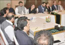 Tarar Assures Apns Implementation Of Pms Assurance On Increase In Advertisement Rates